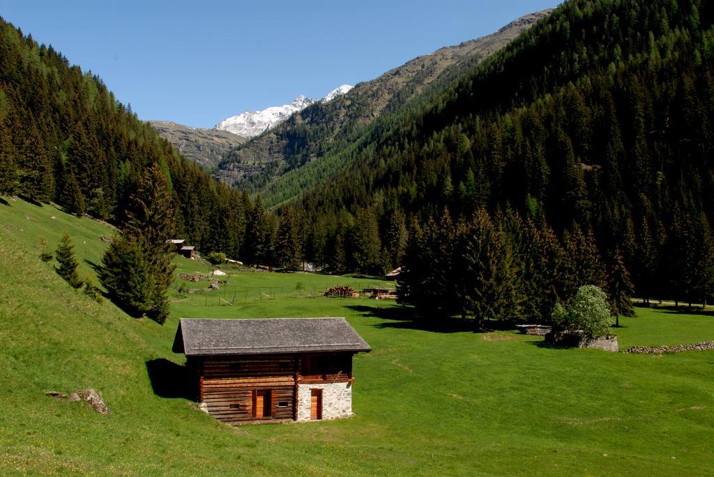 Alpen Hotel Rabbi Exterior foto